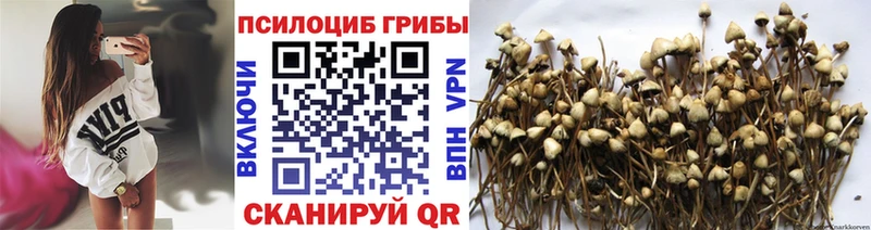 МЕГА tor  Порхов  Галлюциногенные грибы GOLDEN TEACHER 